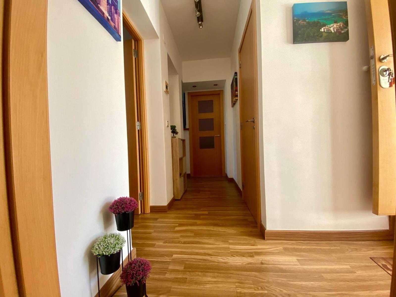 Apartamento Monica 卡尔佩 外观 照片